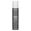 Goldwell StyleSign Perfect Hold Big Finish hair spray for creating volume 300 ml
