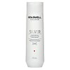 Goldwell Dualsenses Silver Shampoo shampoo per capelli biondo platino e grigi 250 ml