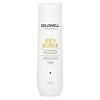 Goldwell Dualsenses Rich Repair Restoring Shampoo Champú Para cabello seco y dañado 250 ml