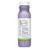 Matrix Biolage R.A.W. Color Care Conditioner kondicionér pro barvené vlasy 325 ml