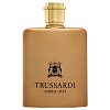 Trussardi Amber Oud Eau de Parfum für Herren 100 ml