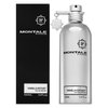 Montale Vanilla Extasy parfémovaná voda pro ženy 100 ml
