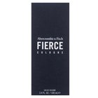 Abercrombie & Fitch Fierce Eau de Cologne for men 100 ml