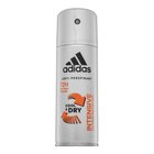 Adidas Cool & Dry Intensive deospray da uomo 150 ml