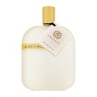 Amouage Library Collection Opus II parfémovaná voda unisex 5 ml - Odstřik