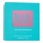 Antonio Banderas Blue Seduction for Women Eau de Toilette für Damen 80 ml