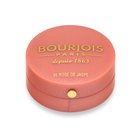 Bourjois Little Round Pot Blush 95 Rose De Jaspe pudrowy róż 2,5 g