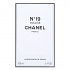 Chanel No.19 Poudré Eau de Parfum femei 100 ml