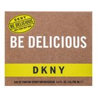 DKNY Be Delicious Eau de Parfum for women 100 ml