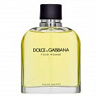 Dolce & Gabbana Pour Homme Eau de Toilette for men 200 ml