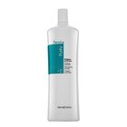 Fanola Purity Purifying Shampoo cleansing shampoo against dandruff 1000 ml