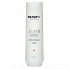 Goldwell Dualsenses Silver Shampoo shampoo for platinum blonde and gray hair 250 ml