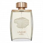 Lalique Pour Homme Eau de Toilette for men 125 ml