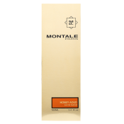 Montale Honey Aoud parfémovaná voda unisex 100 ml