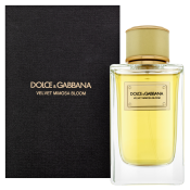 Dolce & Gabbana Velvet Mimosa Bloom Eau de Parfum voor vrouwen 150 ml