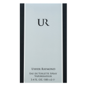 Usher UR Eau de Toilette for men 100 ml