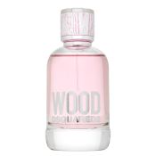 Dsquared2 Wood Eau de Toilette for women 100 ml