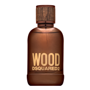 Dsquared2 Wood Eau de Toilette for men 100 ml