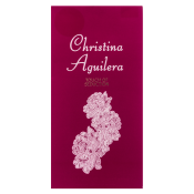 Christina Aguilera Touch of Seduction Eau de Parfum nőknek 100 ml