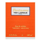Ted Lapidus Fantasme toaletní voda pro ženy 100 ml