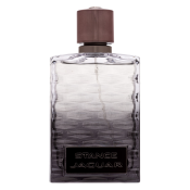 Jaguar Stance Eau de Toilette for men 100 ml