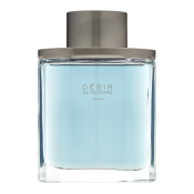 Rochas Desir Pour Homme Eau de Toilette für Herren 100 ml