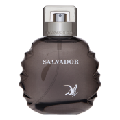 Salvador Dali Salvador Eau de Toilette for men 100 ml