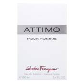 Salvatore Ferragamo Attimo Pour Homme toaletní voda pro muže 100 ml