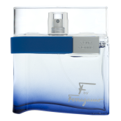 Salvatore Ferragamo F by Ferragamo Free Time Eau de Toilette for men 100 ml