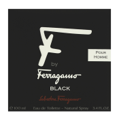 Salvatore Ferragamo F by Ferragamo Pour Homme Black Toaletna voda za moške 100 ml