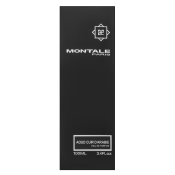 Montale Aoud Cuir d’Arabie Eau de Parfum bărbați 100 ml