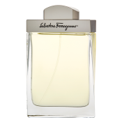 Salvatore Ferragamo Pour Homme toaletna voda za muškarce 100 ml