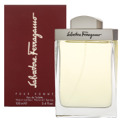 Salvatore Ferragamo Pour Homme toaletna voda za muškarce 100 ml