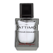 Salvatore Ferragamo Attimo Pour Homme toaletní voda pro muže 40 ml