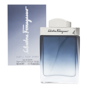 Salvatore Ferragamo Subtil Pour Homme toaletní voda pro muže 50 ml
