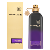 Montale Oud Pashmina parfémovaná voda unisex 100 ml