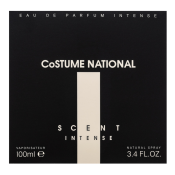 Costume National Scents Intense parfémovaná voda pro muže 100 ml
