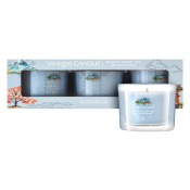 Yankee Candle Majestic Mount Fuji votive candle 3 x 37 g