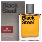 Swiss Army Black Steel toaletní voda pro muže 100 ml