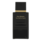Van Cleef & Arpels Pour Homme toaletní voda pro muže 100 ml