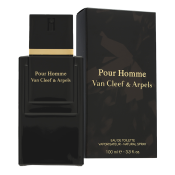 Van Cleef & Arpels Pour Homme toaletní voda pro muže 100 ml