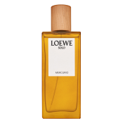 Loewe Solo Loewe Mercurio parfémovaná voda pro muže 75 ml