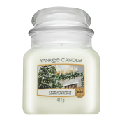 Yankee Candle Twinkling Lights scented candle 411 g