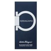 Salvatore Ferragamo Ferragamo Toaletna voda za moške 100 ml