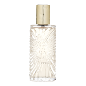 Yves Saint Laurent Saharienne toaletní voda pro ženy 75 ml