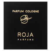 Roja Parfums Enigma kolínská voda pro muže 100 ml