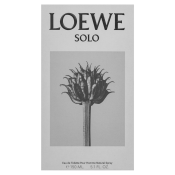 Loewe Solo Loewe Pour Homme toaletná voda pre mužov 150 ml