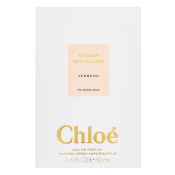 Chloé Verbena parfemska voda za žene Extra Offer 2 50 ml