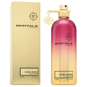 Montale Aoud Legend parfémovaná voda unisex Extra Offer 3 100 ml