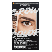 L´Oréal Paris Brow Color Semi-Permanent Eyebrow Tint polutrajna boja za obrve 5.0 Brunette